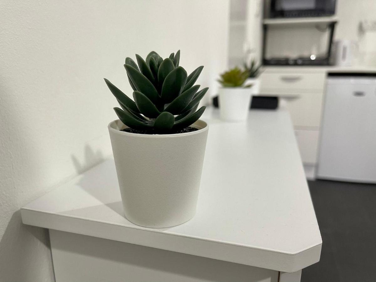 Wisteria Studio Лондон Екстериор снимка